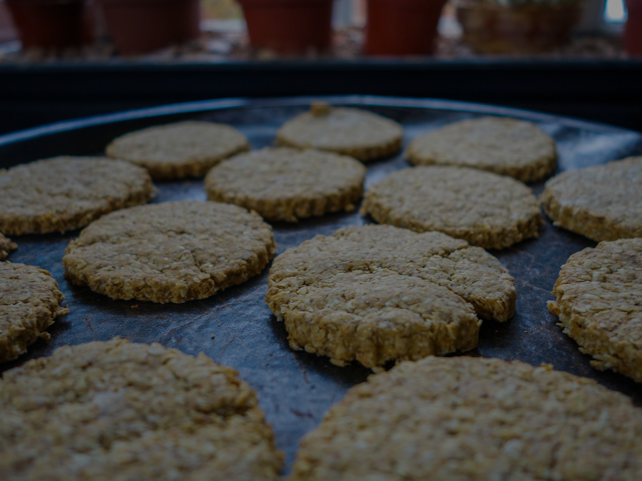 Gluten Free Oat Cookies - Lovemore Foods